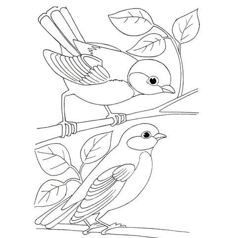 Tit Birds Coloring Page